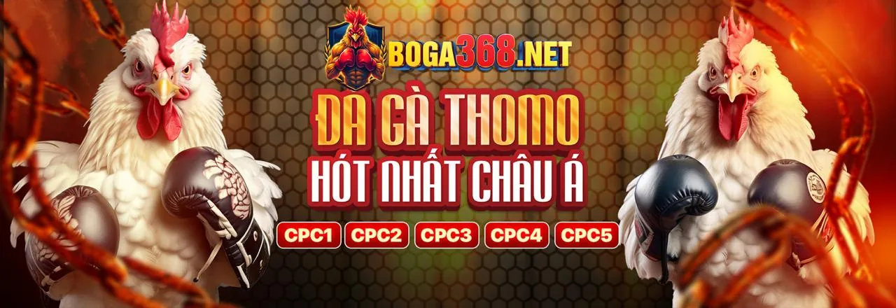 Sòng bạc trực tuyến QQ288 Code với đồ họa xanh vàng